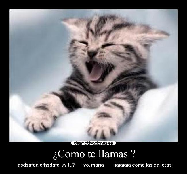 ¿Como te llamas ? - -asdsafdajofhsdgfd ¿y tu? - yo, maria -jajajaja como las galletas