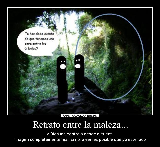 Retrato entre la maleza... - o Dios me controla desde el tuenti.
Imagen completamente real, si no lo ven es posible que yo este loco