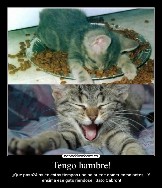 Tengo hambre! - 