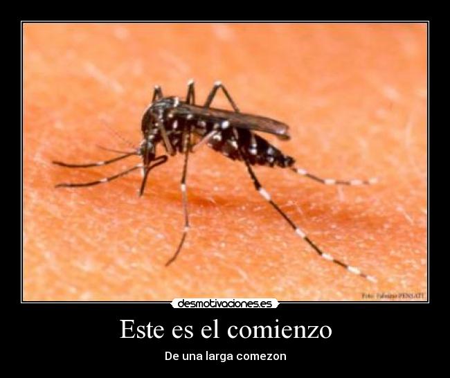 Este es el comienzo - De una larga comezon