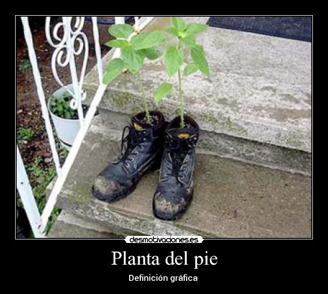 Planta del pie - Definición gráfica 