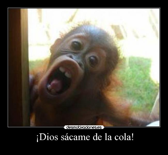 ¡Dios sácame de la cola! -