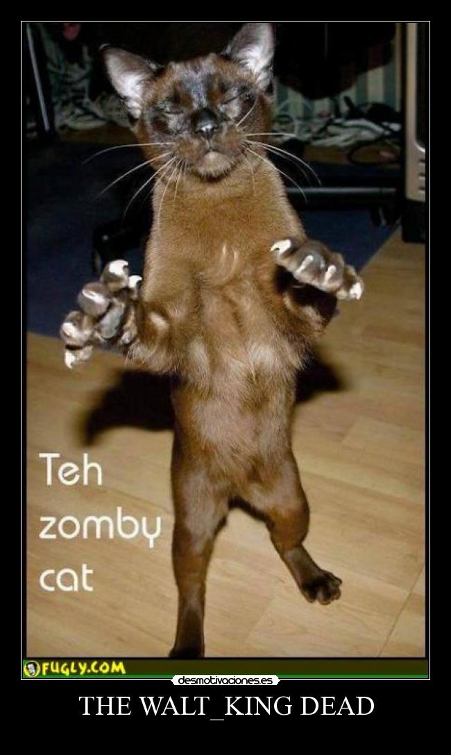 THE WALT_KING DEAD -