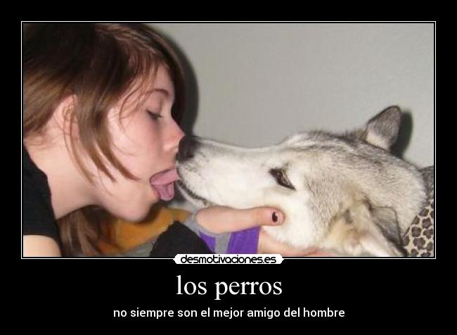 los perros - no siempre son el mejor amigo del hombre