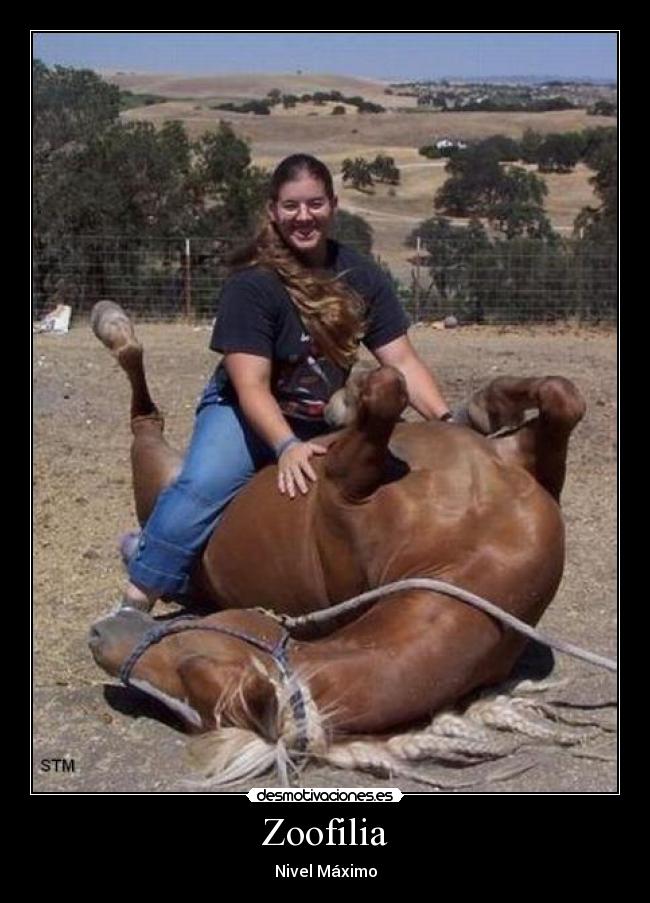 Zoofilia - Nivel Máximo