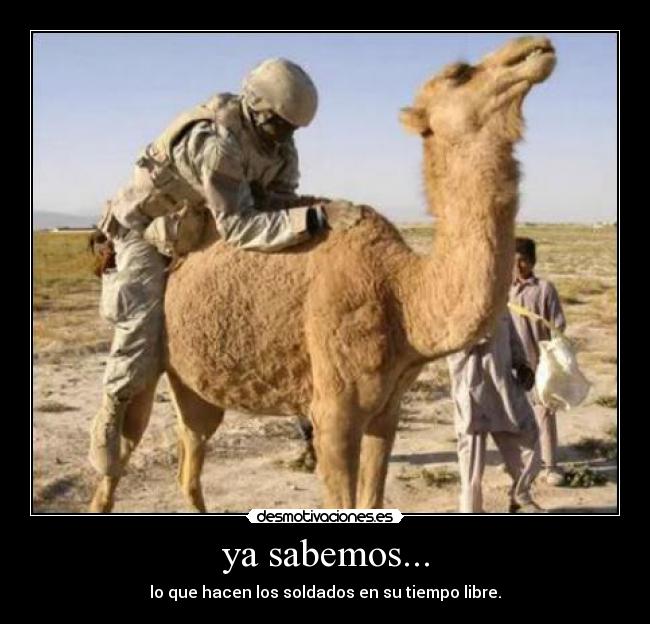 ya sabemos... - lo que hacen los soldados en su tiempo libre.