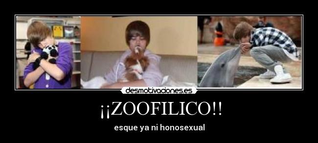 ¡¡ZOOFILICO!! -