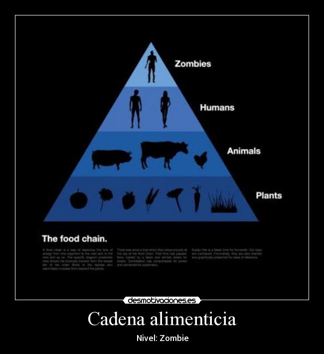 Cadena alimenticia - Nivel: Zombie