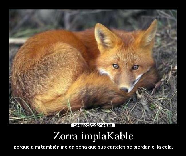 Zorra implaKable - porque a mi también me da pena que sus carteles se pierdan el la cola.