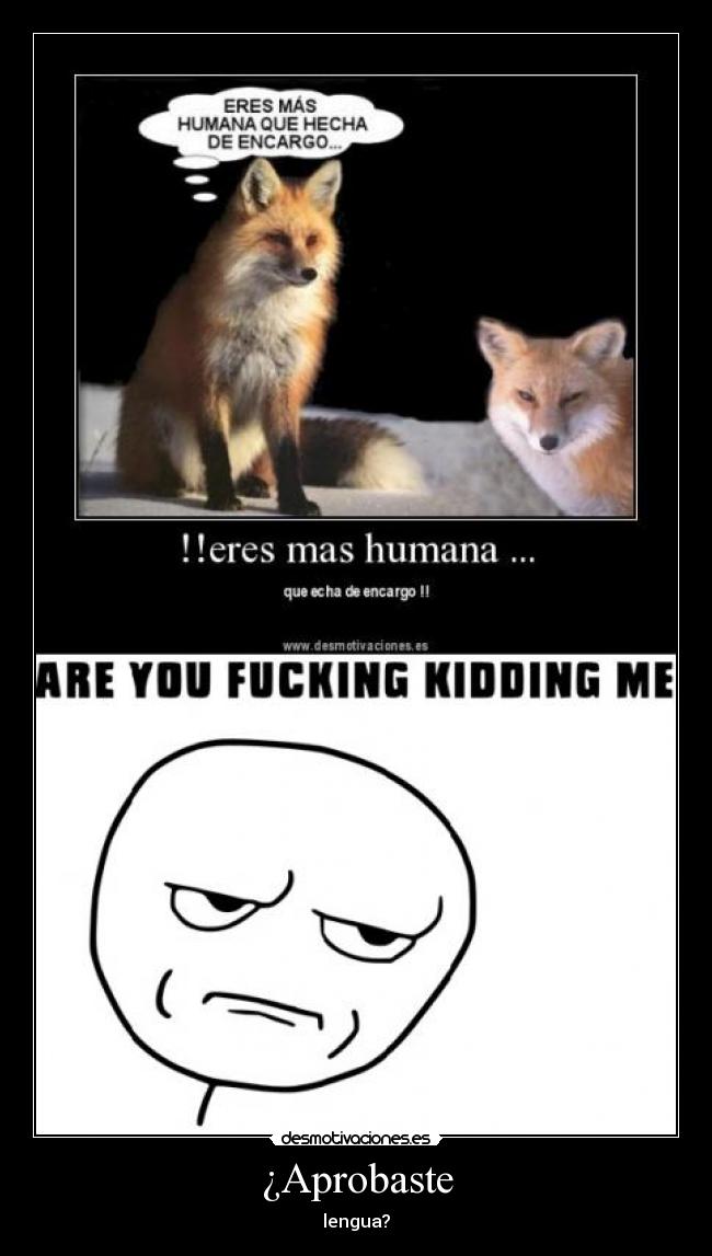 ¿Aprobaste - lengua?