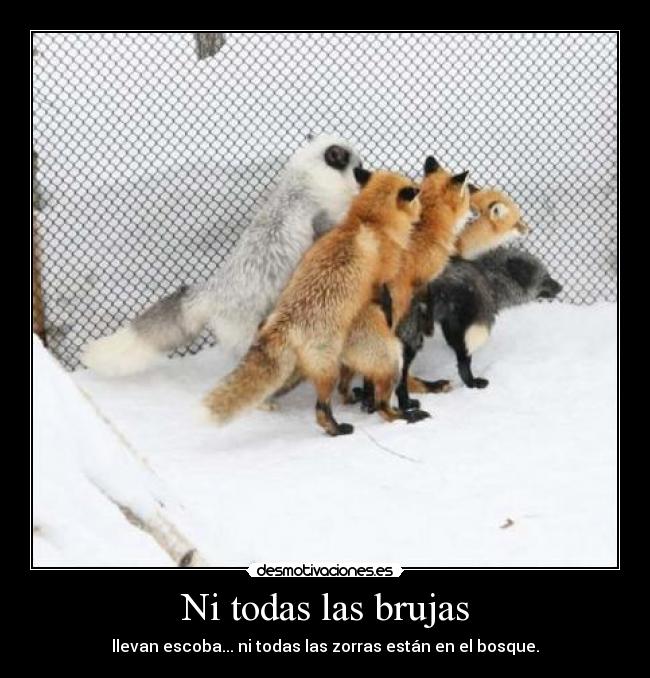 Ni todas las brujas -