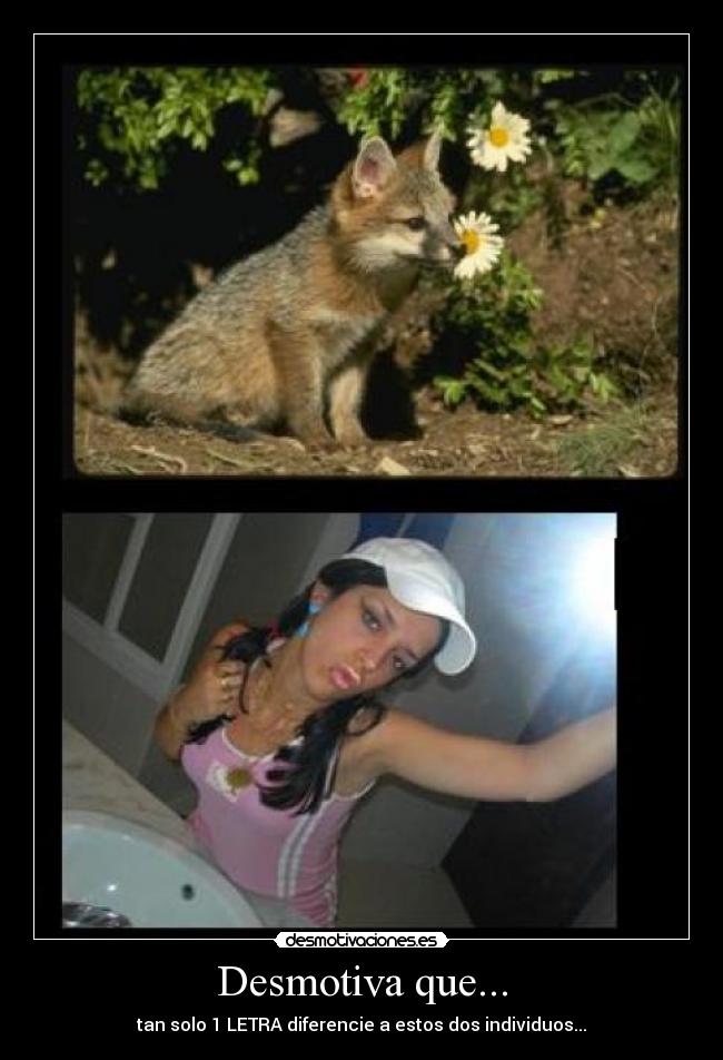 Desmotiva que... - tan solo 1 LETRA diferencie a estos dos individuos...