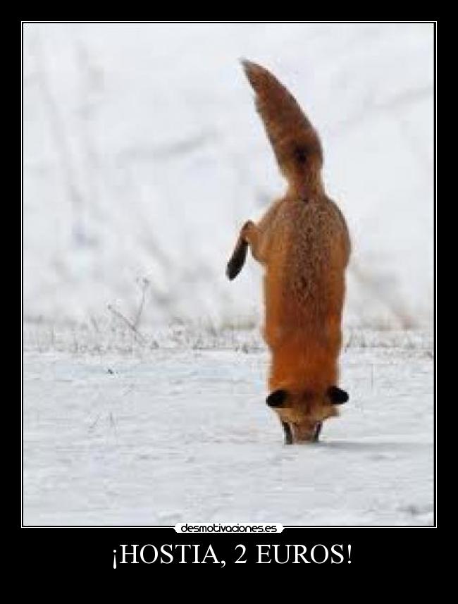 ¡HOSTIA, 2 EUROS! -