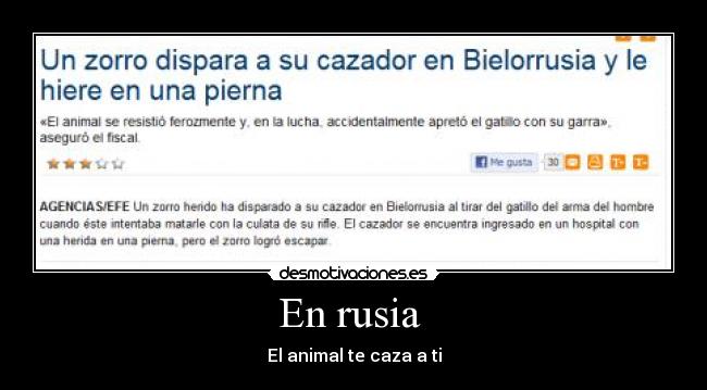 En rusia  - El animal te caza a ti