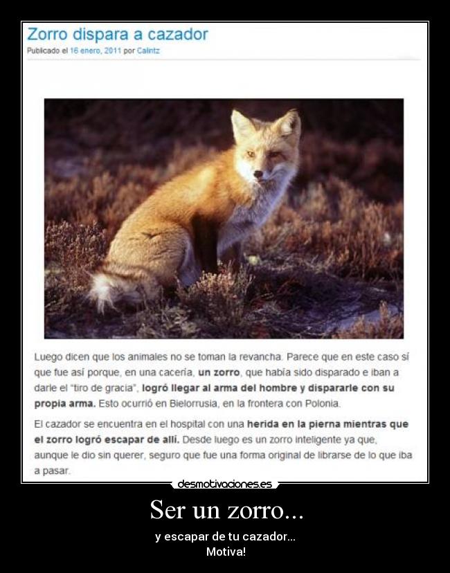 Ser un zorro... - y escapar de tu cazador...
Motiva!