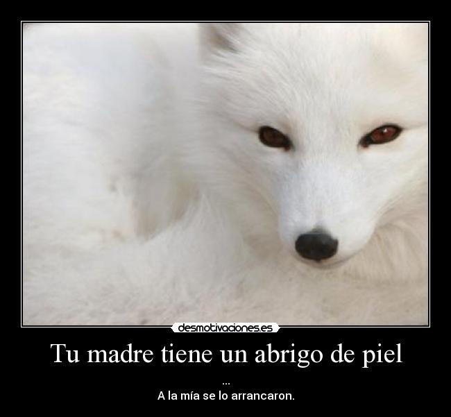 Tu madre tiene un abrigo de piel - ...
A la mía se lo arrancaron.