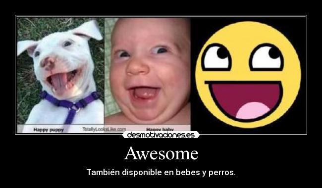 Awesome - También disponible en bebes y perros.