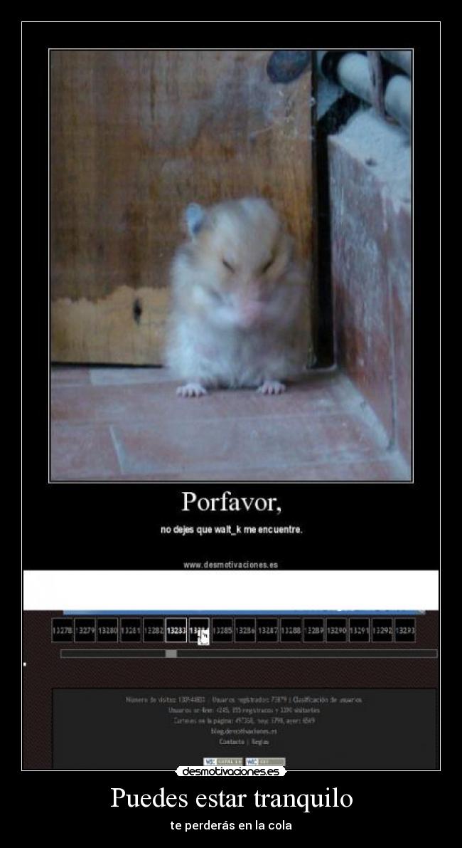 Puedes estar tranquilo -