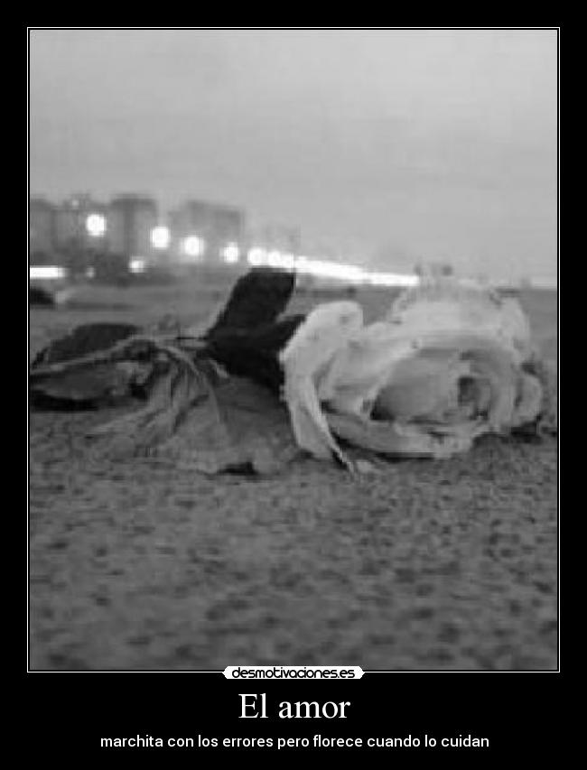 El amor - marchita con los errores pero florece cuando lo cuidan