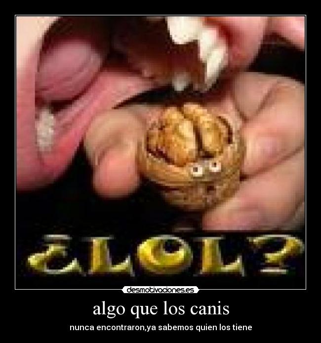 algo que los canis - nunca encontraron,ya sabemos quien los tiene