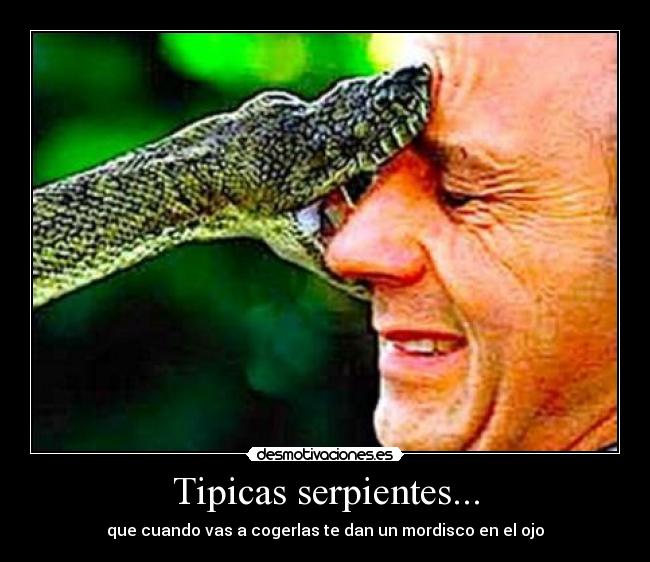 Tipicas serpientes... -