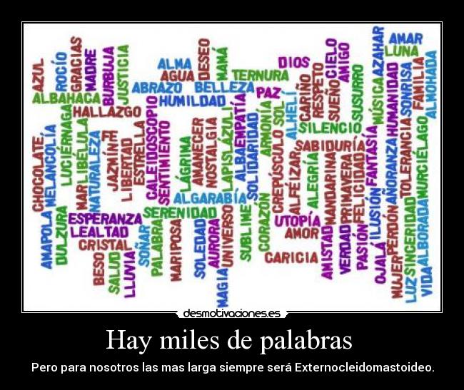 Hay miles de palabras - Pero para nosotros las mas larga siempre será Externocleidomastoideo.