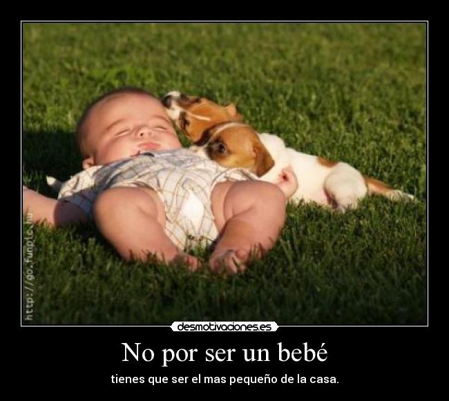 No por ser un bebé - tienes que ser el mas pequeño de la casa.