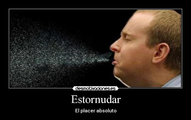 Estornudar - El placer absoluto