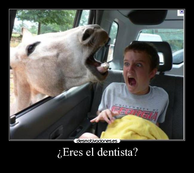 ¿Eres el dentista? -
