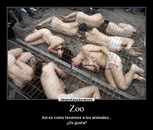 Zoo -