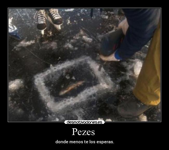 Pezes  - 