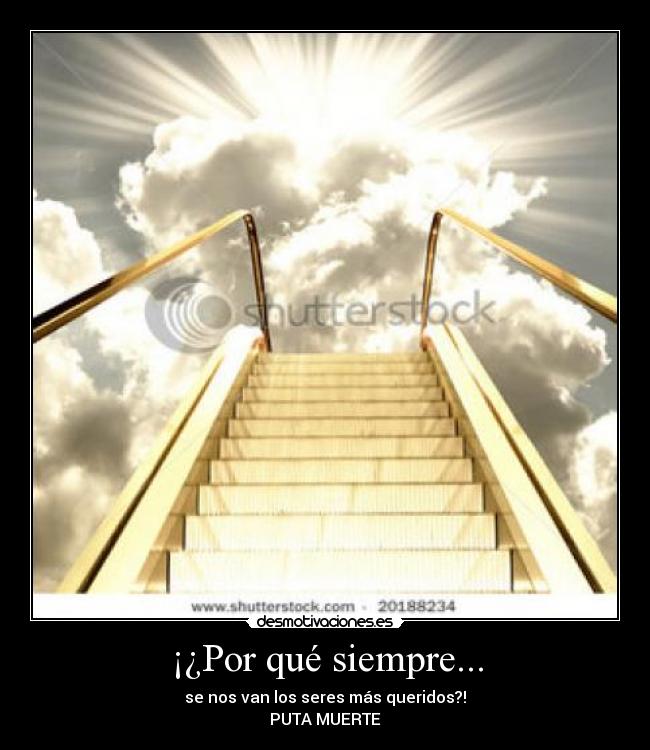 ¡¿Por qué siempre... - se nos van los seres más queridos?!
PUTA MUERTE