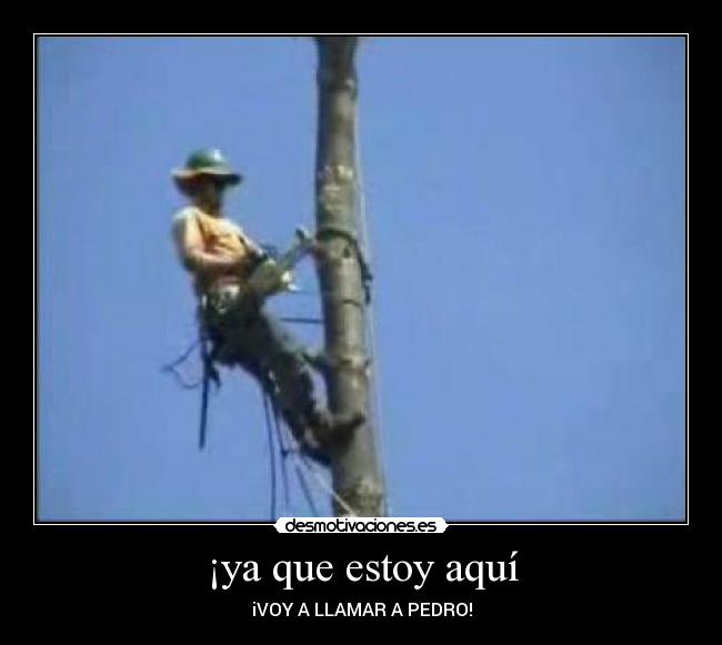 ¡ya que estoy aquí - iVOY A LLAMAR A PEDRO!