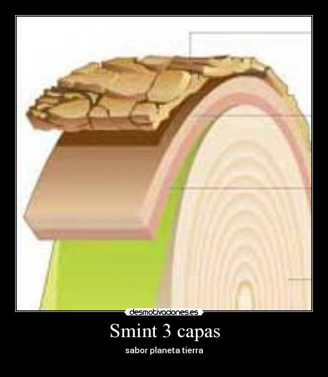 Smint 3 capas - 