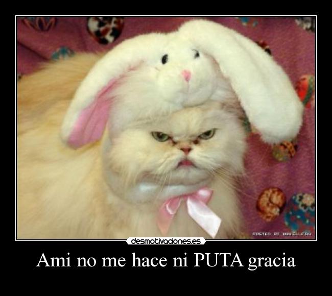 Ami no me hace ni PUTA gracia - 