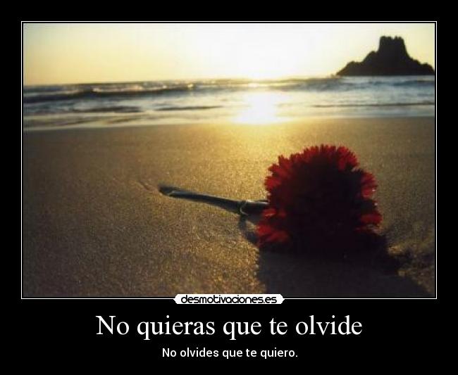 No quieras que te olvide -