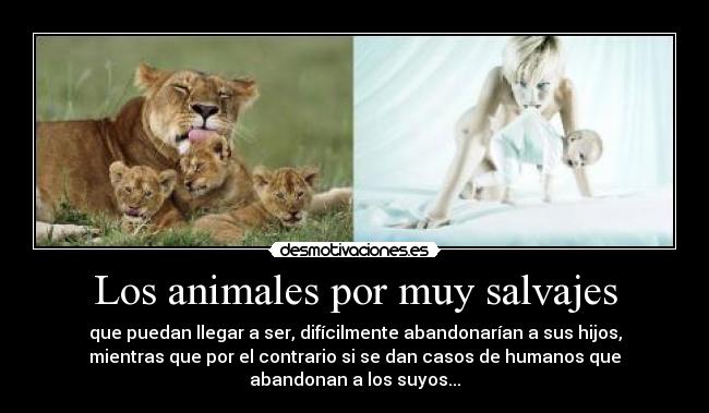 Los animales por muy salvajes - 