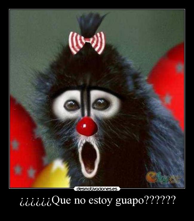 ¿¿¿¿¿¿Que no estoy guapo?????? -