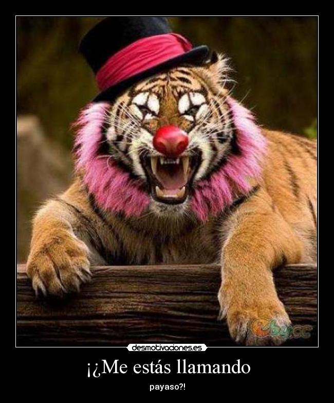 ¡¿Me estás llamando - payaso?!