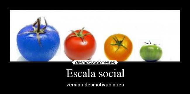 carteles escala social desmotivaciones