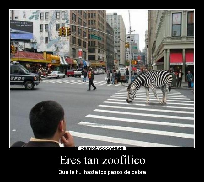 Eres tan zoofilico -