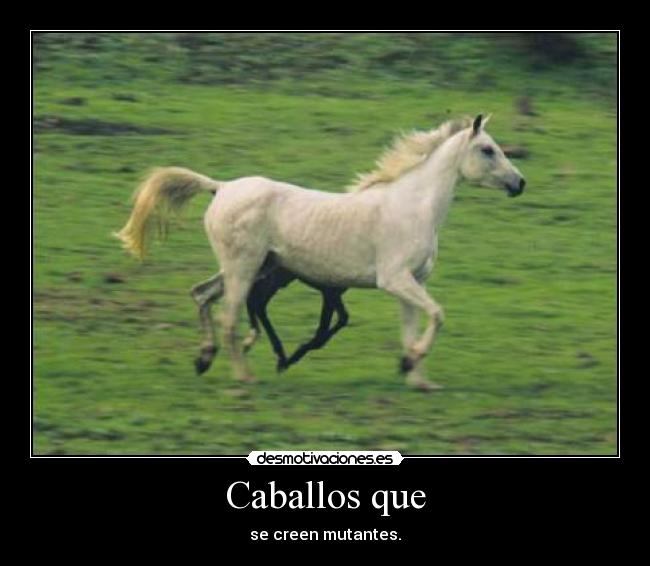 Caballos que - se creen mutantes.