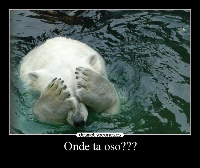 Onde ta oso??? - 