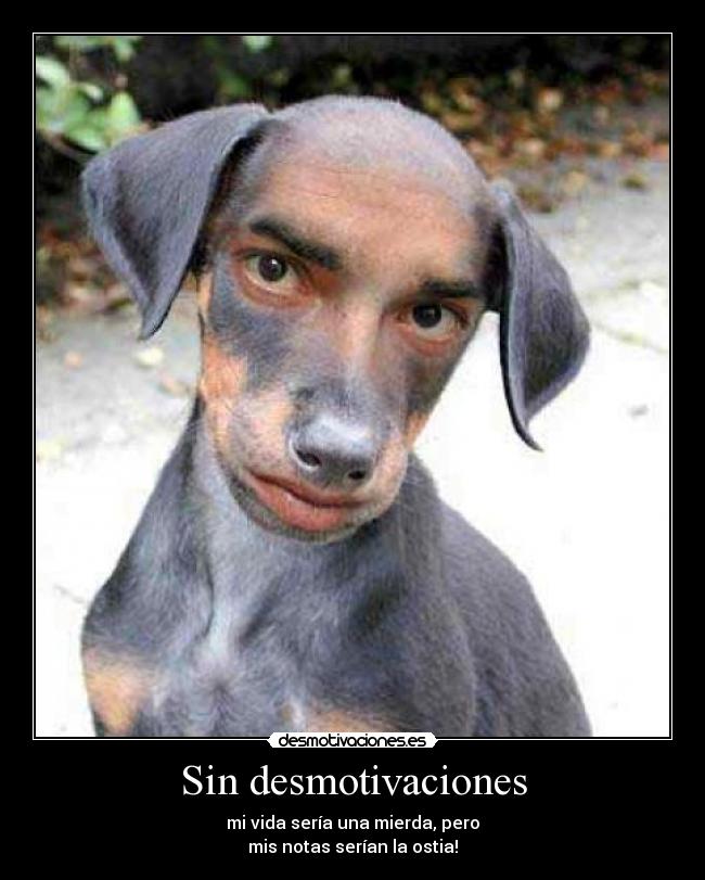 Sin desmotivaciones - 