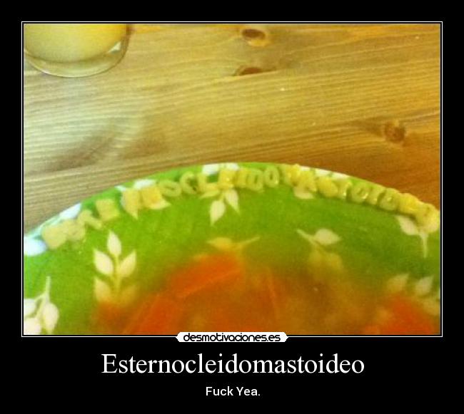 Esternocleidomastoideo - Fuck Yea.