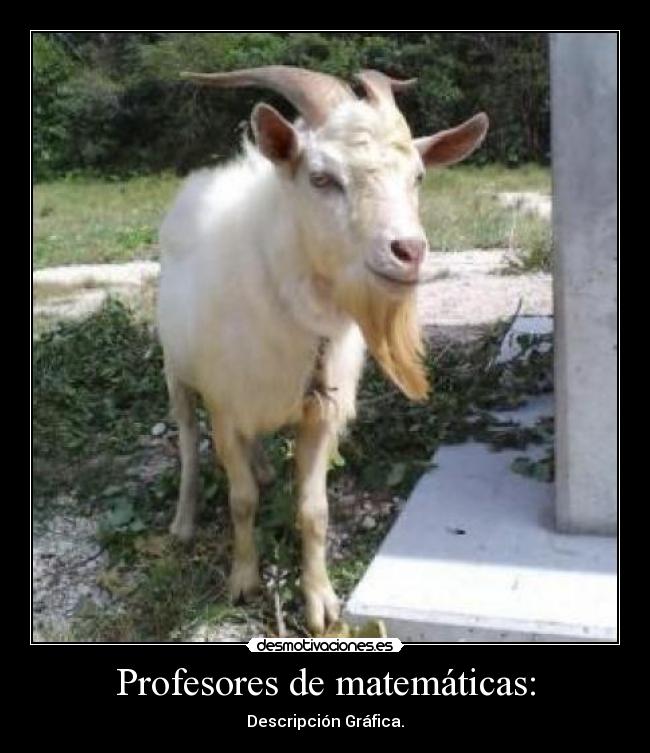 Profesores de matemáticas: - Descripción Gráfica.