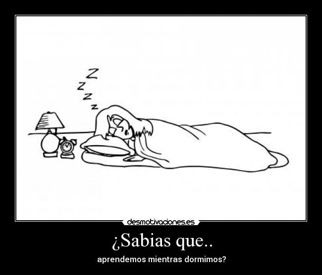 ¿Sabias que.. - 