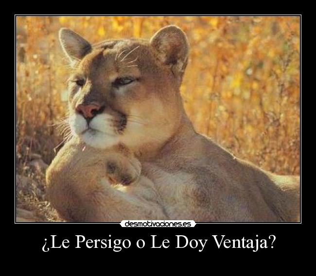 ¿Le Persigo o Le Doy Ventaja? -