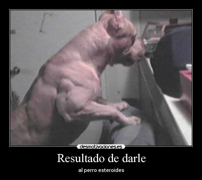 Resultado de darle - 