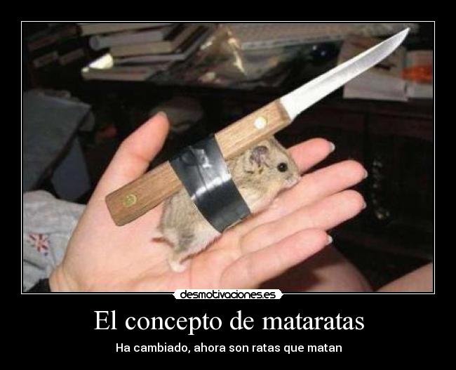 El concepto de mataratas -